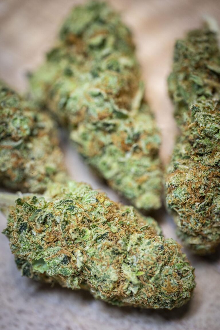 Cannabis bud closeup